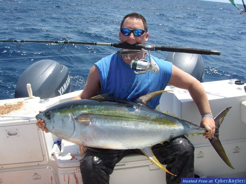 davidwith90lbtunacaughtonqyuantumrodnreel_2