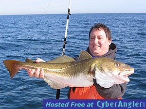 DENCOD