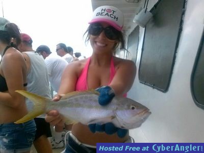 Yellowtail snapper