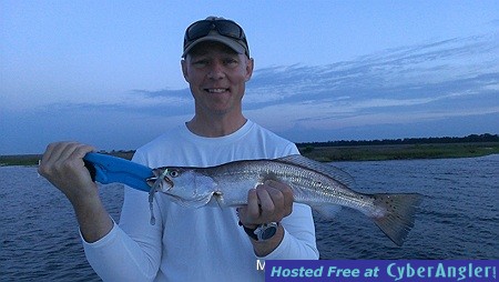Trout
