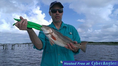 Redfish