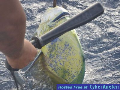 Click to Enlarge Photo