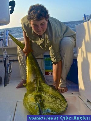 Click to Enlarge Photo