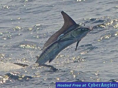 Click to Enlarge Photo