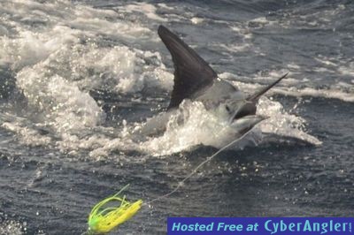 Click to Enlarge Photo