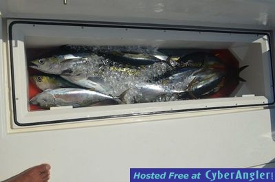 Click to Enlarge Photo