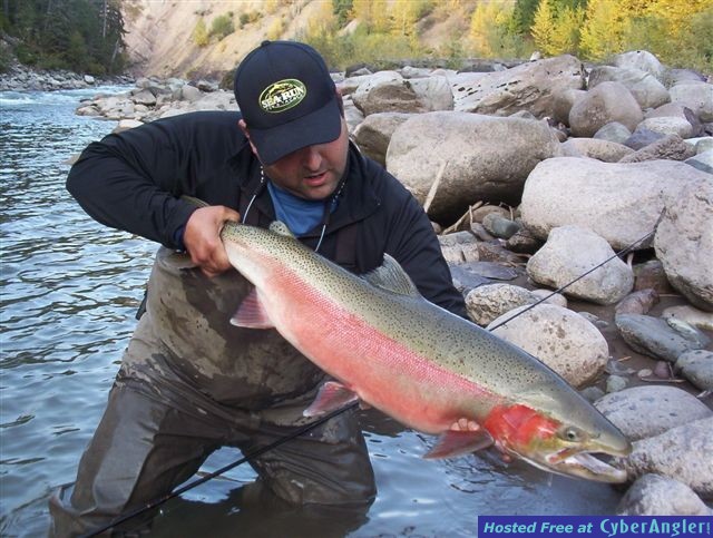 Zymoetz (Copper) River Steelhead