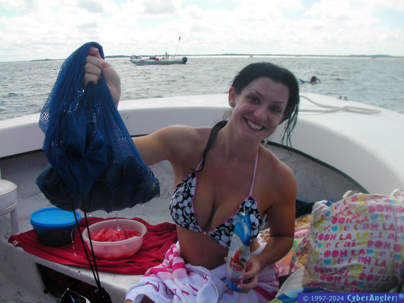 Click to Enlarge Photo