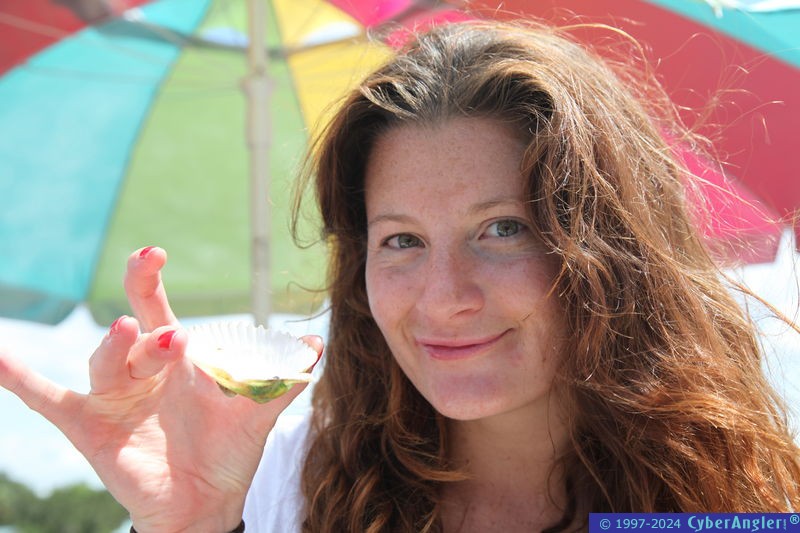 Click to Enlarge Photo