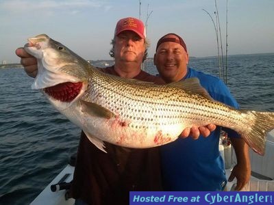 Click to Enlarge Photo