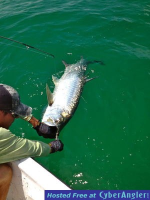 Click to Enlarge Photo