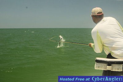 Cliff Ondercin Sarasota fly tarpon jump