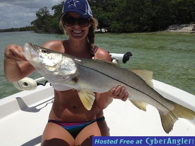 Click to Enlarge Photo