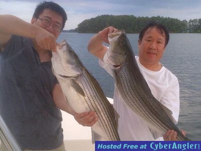 Click to Enlarge Photo