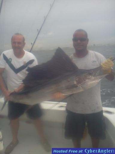 Sailfish_Joe1