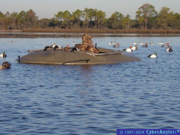 Layout_Boat
