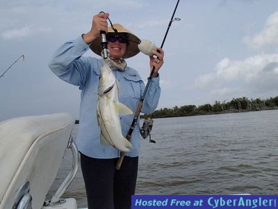 Click to Enlarge Photo