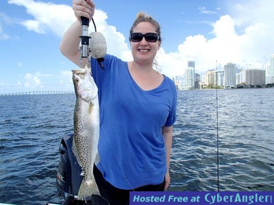 Click to Enlarge Photo