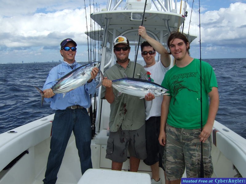 Skipjack Tunas