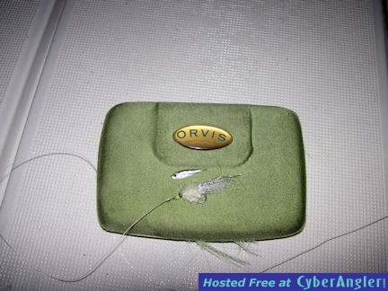 Grassett Snook Minnow and baitfish