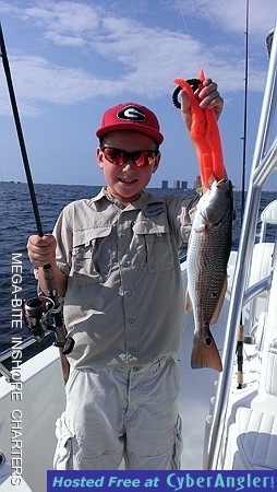 Redfish