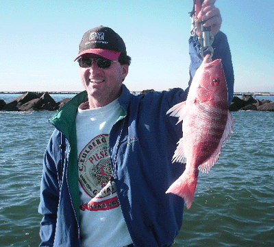 www.captdaves.com