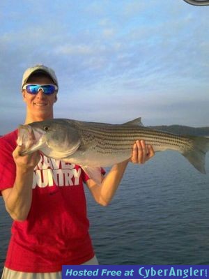 Click to Enlarge Photo