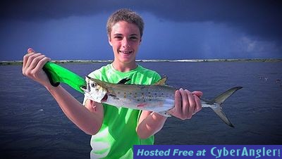 Spanish Mackerel