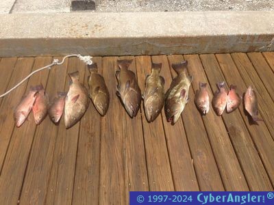 Click to Enlarge Photo