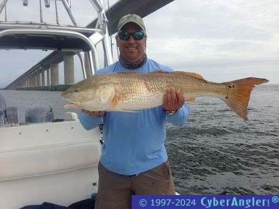 Click to Enlarge Photo