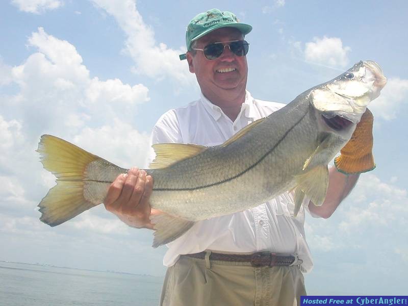 Gulfsnook