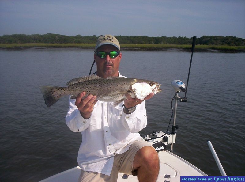 trout