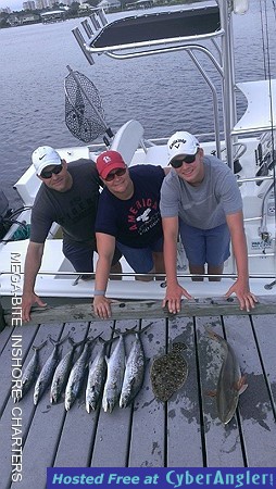 Mess of fish