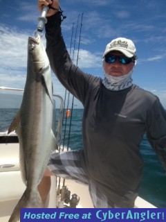 tcobia