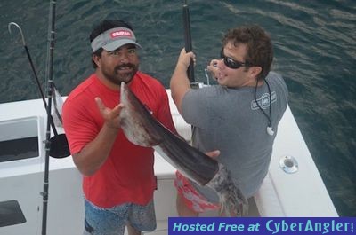 Click to Enlarge Photo