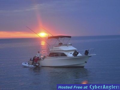 Click to Enlarge Photo