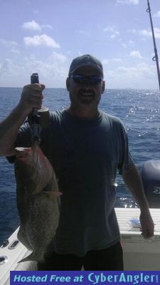 Grouper On Near Shore Reef