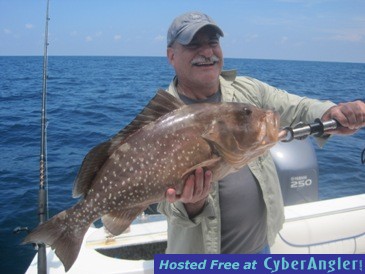 28-inch red grouper