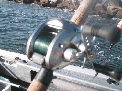 www.captdaves.com
