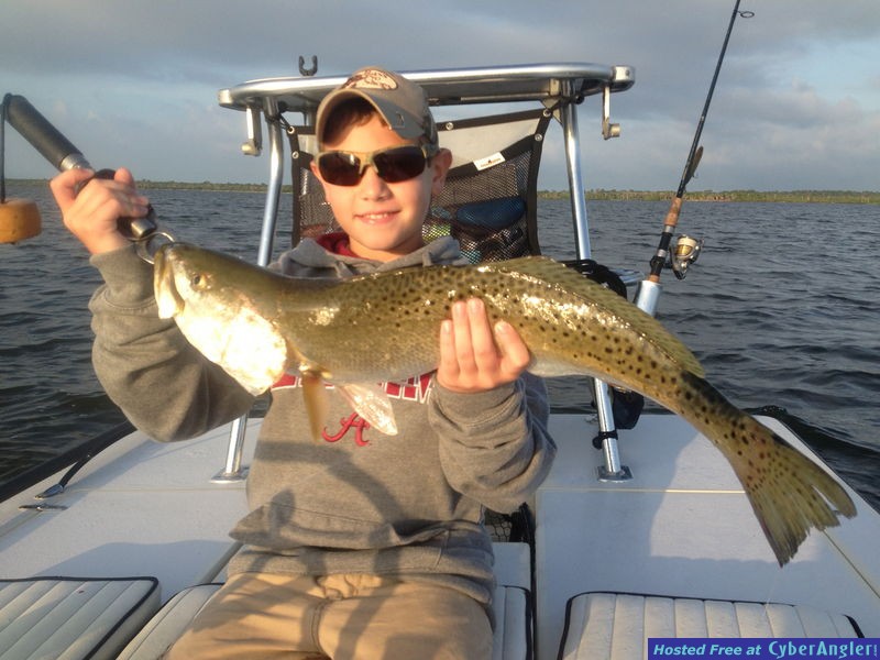 massive trout