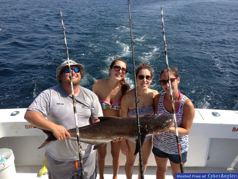 lots of cobia on the troll