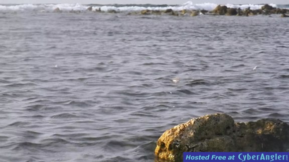 tflatsbonetails-surf576x324