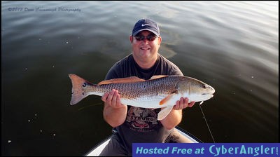 Mosquito Lagoon Redfish