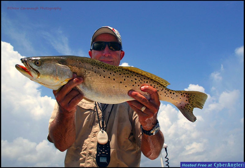 Mosquito Lagoon Seatrout