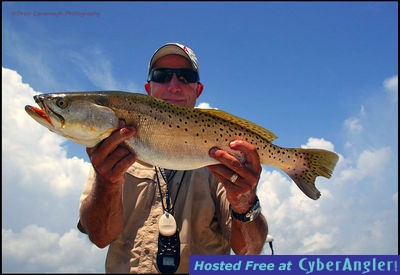 Mosquito Lagoon Seatrout