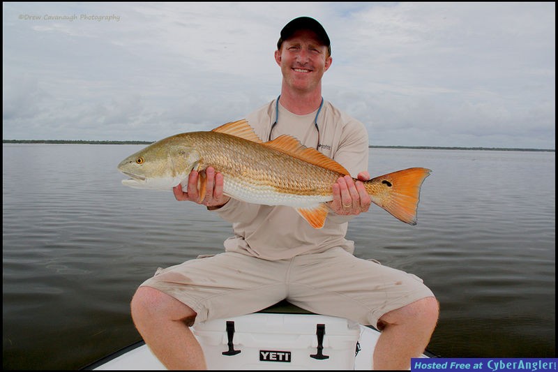 Indian River Redfish
