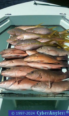 Click to Enlarge Photo