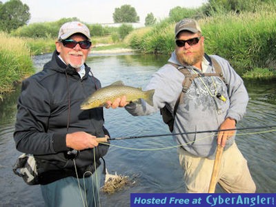 Mike Perez Beaverhead River brown trout
