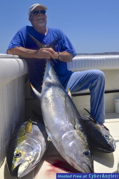 Click to Enlarge Photo