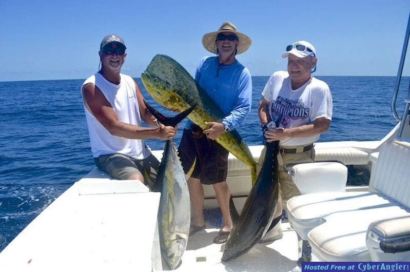 Click to Enlarge Photo